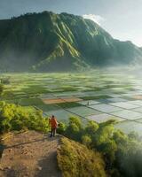 homem caminhando dentro lindo natureza panorama com montanhas e água uma pessoa anda em dentro da natureza beleza montanhas, água, plantas, e céu. foto