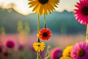colorida flores dentro uma campo às pôr do sol. gerado por IA foto