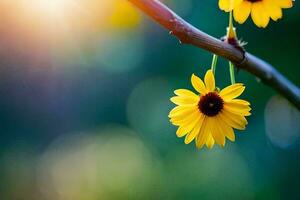 amarelo flores em uma ramo com Sol brilhando. gerado por IA foto