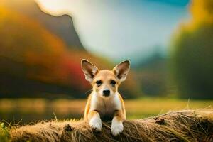 uma cachorro sentado em topo do uma registro dentro frente do uma lago. gerado por IA foto