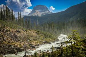 parque nacional yoho foto