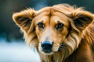 uma cachorro com grandes cabelo em pé dentro a neve. gerado por IA foto