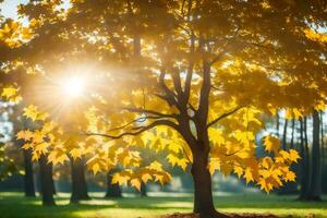 a Sol brilha através a folhas do uma árvore dentro uma parque. gerado por IA foto