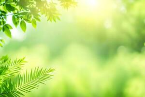 verde folhas e luz solar dentro a floresta. gerado por IA foto