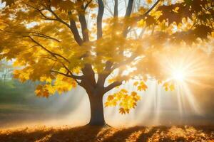 a Sol brilha através a folhas do uma árvore dentro a outono. gerado por IA foto