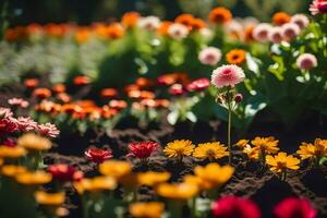 colorida flores dentro uma jardim. gerado por IA foto