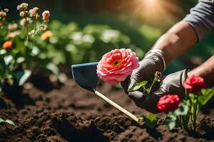 uma pessoa é plantio flores dentro a jardim. gerado por IA foto