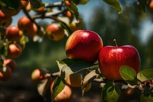 dois maçãs estão em a árvore ramo com folhas. gerado por IA foto