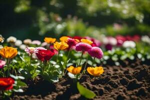 colorida flores dentro a jardim. gerado por IA foto