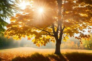 outono árvore com Sol brilhando através folhas. gerado por IA foto