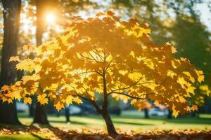 uma árvore com amarelo folhas dentro a Sol. gerado por IA foto