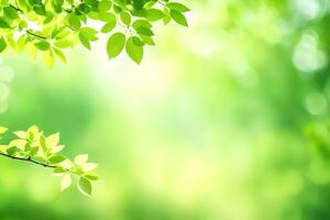 verde folhas em uma árvore ramo dentro a luz solar. gerado por IA foto