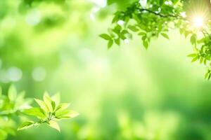 verde folhas e luz solar dentro a floresta. gerado por IA foto