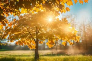 outono árvore dentro a parque com Sol brilhando através a folhas. gerado por IA foto