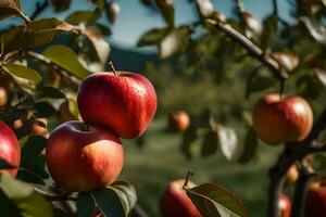 maçãs estão crescendo em uma árvore dentro a campo. gerado por IA foto