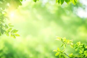 verde folhas e luz solar dentro a floresta. gerado por IA foto