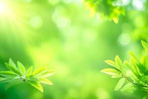 verde folhas dentro a Sol com luz solar. gerado por IA foto