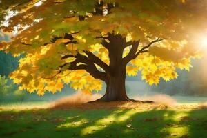 uma árvore com amarelo folhas dentro a Sol. gerado por IA foto