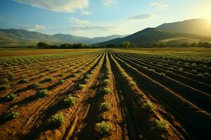 lindo Visão do uma chá campo plantação, Vinhedo Fazenda ou morango jardim dentro a verde colinas às nascer do sol conceito de ai gerado foto