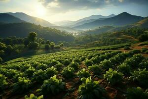 lindo Visão do uma chá campo plantação, Vinhedo Fazenda ou morango jardim dentro a verde colinas às nascer do sol conceito de ai gerado foto