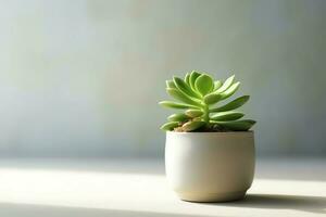 em vaso suculento plantar gasteria ou pequeno cacto com cópia de espaço. casa jardinagem e minimalista plantar conceito de ai gerado foto