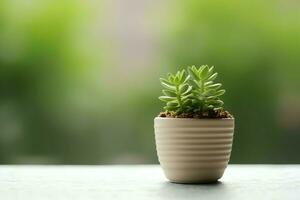 em vaso suculento plantar gasteria ou pequeno cacto com cópia de espaço. casa jardinagem e minimalista plantar conceito de ai gerado foto