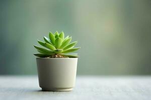 em vaso suculento plantar gasteria ou pequeno cacto com cópia de espaço. casa jardinagem e minimalista plantar conceito de ai gerado foto