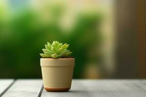 em vaso suculento plantar gasteria ou pequeno cacto com cópia de espaço. casa jardinagem e minimalista plantar conceito de ai gerado foto