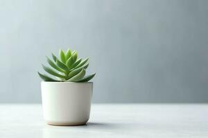 em vaso suculento plantar gasteria ou pequeno cacto com cópia de espaço. casa jardinagem e minimalista plantar conceito de ai gerado foto