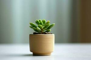 em vaso suculento plantar gasteria ou pequeno cacto com cópia de espaço. casa jardinagem e minimalista plantar conceito de ai gerado foto