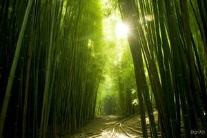 Visão do botânico verde bambu tropical floresta dentro luz do dia. oriental bambu Arvoredo dentro China japonês conceito de ai gerado foto