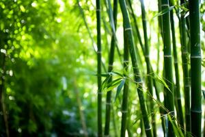 Visão do botânico verde bambu tropical floresta dentro luz do dia. oriental bambu Arvoredo dentro China japonês conceito de ai gerado foto