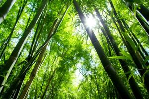 Visão do botânico verde bambu tropical floresta dentro luz do dia. oriental bambu Arvoredo dentro China japonês conceito de ai gerado foto