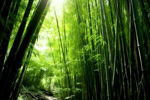 Visão do botânico verde bambu tropical floresta dentro luz do dia. oriental bambu Arvoredo dentro China japonês conceito de ai gerado foto