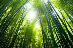 Visão do botânico verde bambu tropical floresta dentro luz do dia. oriental bambu Arvoredo dentro China japonês conceito de ai gerado foto