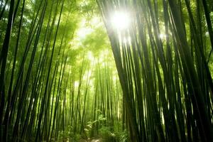 Visão do botânico verde bambu tropical floresta dentro luz do dia. oriental bambu Arvoredo dentro China japonês conceito de ai gerado foto