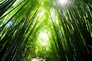 Visão do botânico verde bambu tropical floresta dentro luz do dia. oriental bambu Arvoredo dentro China japonês conceito de ai gerado foto