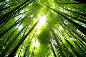Visão do botânico verde bambu tropical floresta dentro luz do dia. oriental bambu Arvoredo dentro China japonês conceito de ai gerado foto