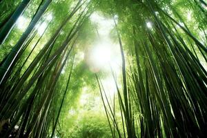 Visão do botânico verde bambu tropical floresta dentro luz do dia. oriental bambu Arvoredo dentro China japonês conceito de ai gerado foto