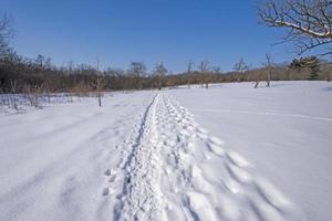 trilha de caminhada na neve foto