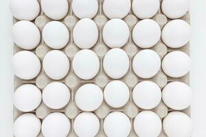 fresco cru 30 pacote do ampla ovos branco ovos dentro cartão em branco fundo foto