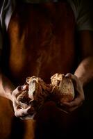 pão dentro a mãos do uma profissional padeiro. Sombrio fundo. quebra recentemente cozido pão. vapor chegando fora. Castanho couro avental. foto