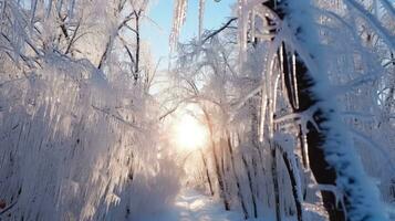 congeladas árvores e ensolarado inverno floresta panorama - generativo ai foto