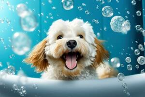 sorridente cachorro imerso dentro bolhas - generativo ai foto