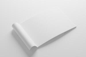 a4 panorama selim ponto bifold folheto branco em branco 3d Renderização brincar foto