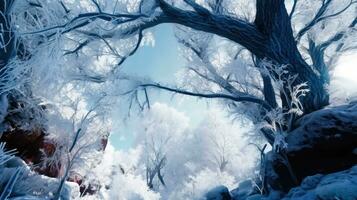 dourado inverno luz solar em uma Nevado floresta - generativo ai foto