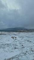 invernal panorama com gelado Campos dentro islandês região, maciço Nevado montanhas morros e congeladas terras. inverno país das maravilhas beira da estrada panorama com Planalto e colinas. foto