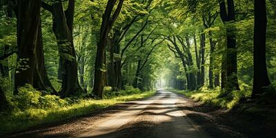 ai gerado. ai generativo. ao ar livre natureza aventura floresta andar caminho estrada aventuras fundo. gráfico arte foto