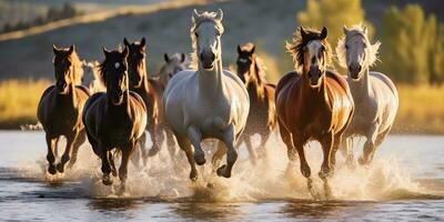 ai gerado. ai generativo. grupo do cavalos corrida ao ar livre natureza fundo. selvagem vida animal decoração. gráfico arte foto