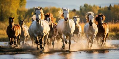 ai gerado. ai generativo. grupo do cavalos corrida ao ar livre natureza fundo. selvagem vida animal decoração. gráfico arte foto